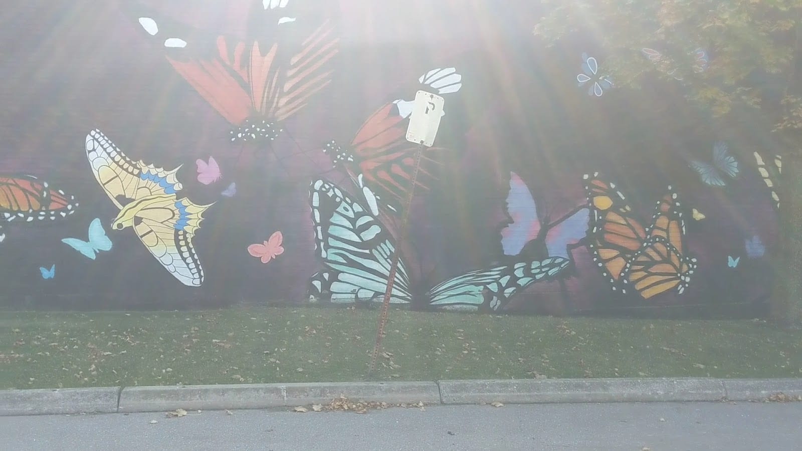 Confederation Park, photo 2