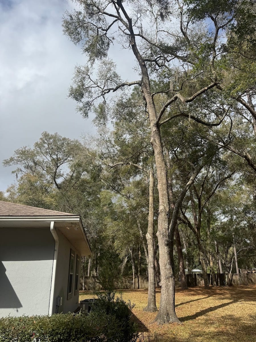 Triple S Tree Service, LLC, photo 3
