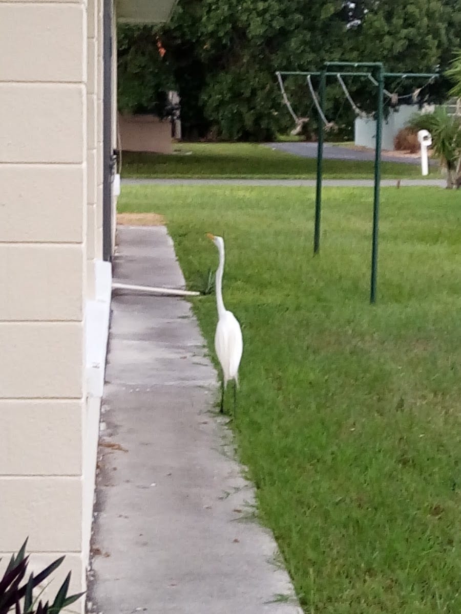 Prentiss French Park, photo 3