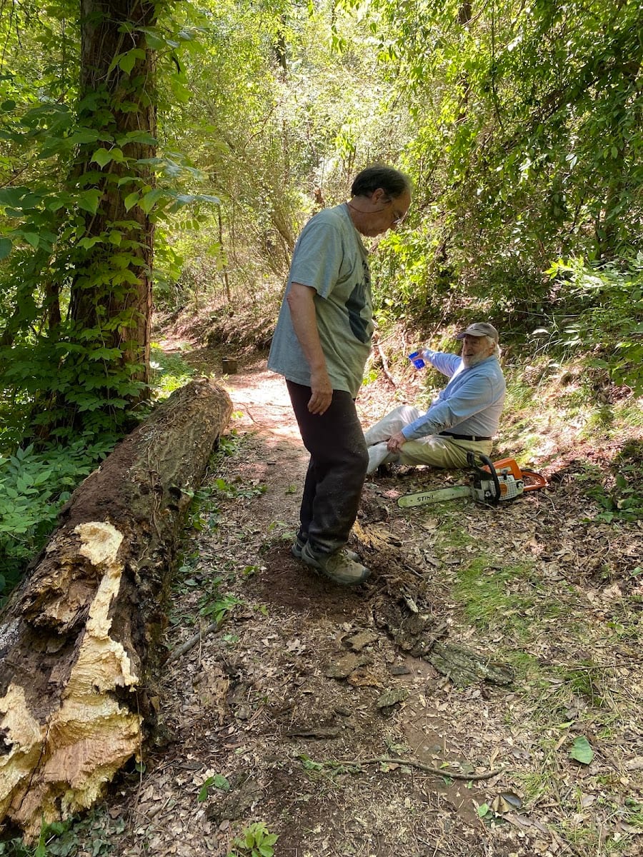 Jackson Hill mountain bike trails