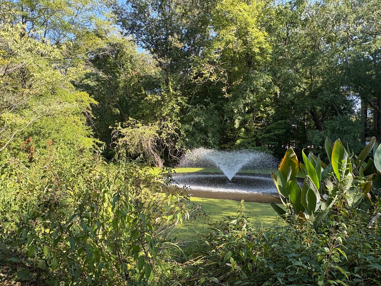 Tawes Garden