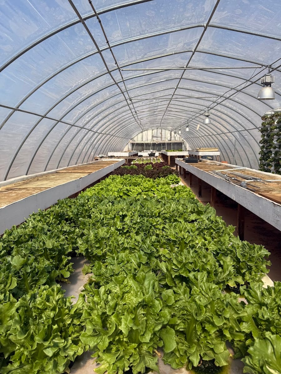 Hurricane Creek Farms