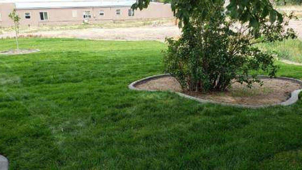 Camp Curbing, photo 2