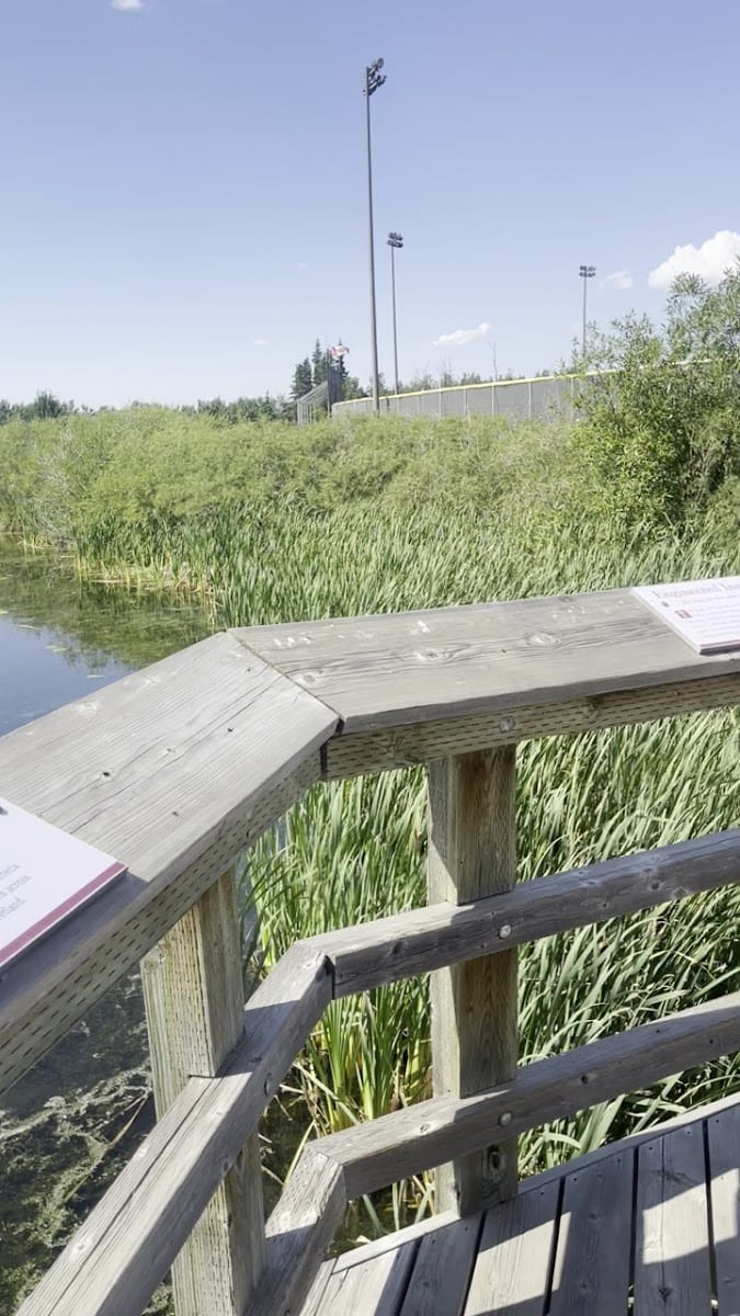 Wildlife Viewing Platform, photo 2