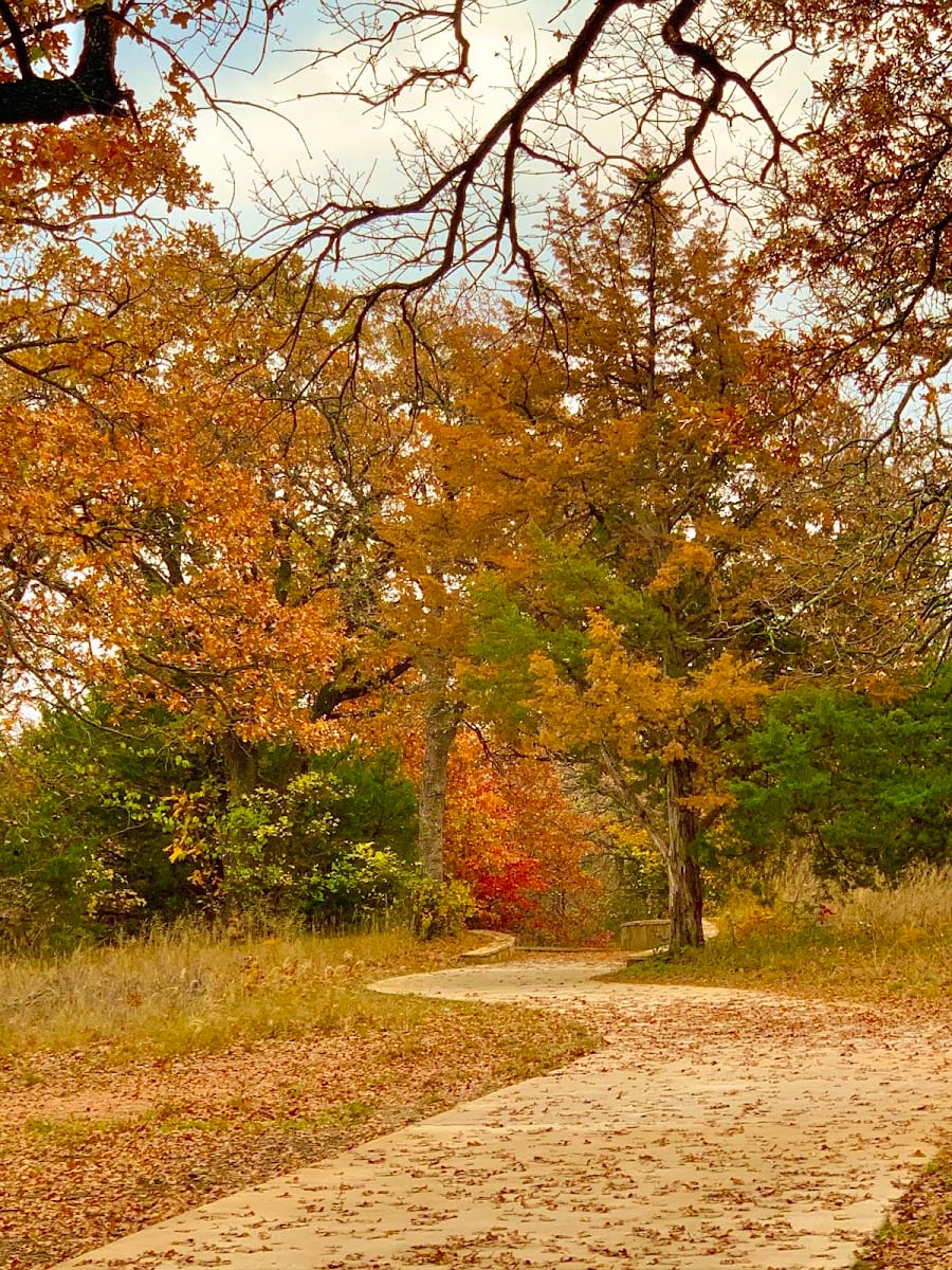Thrive Nature Park