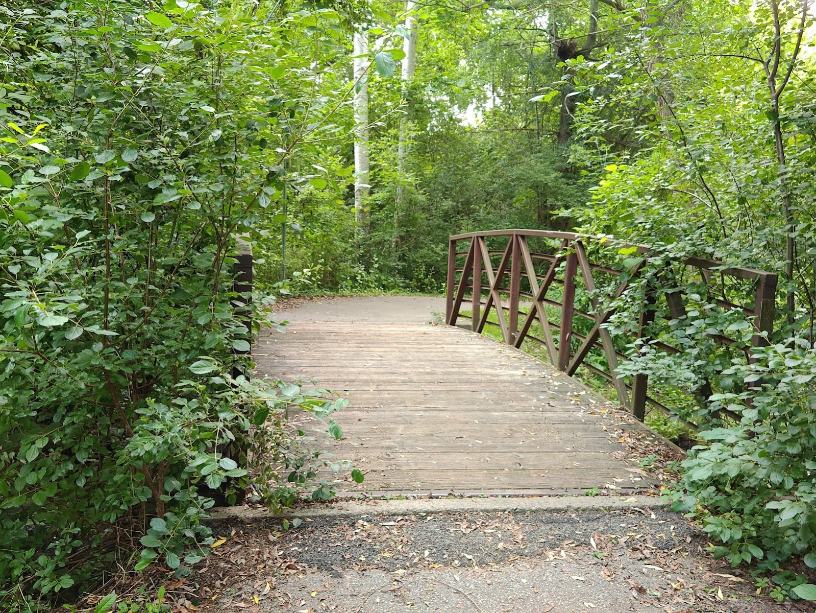 Beaver Greenway