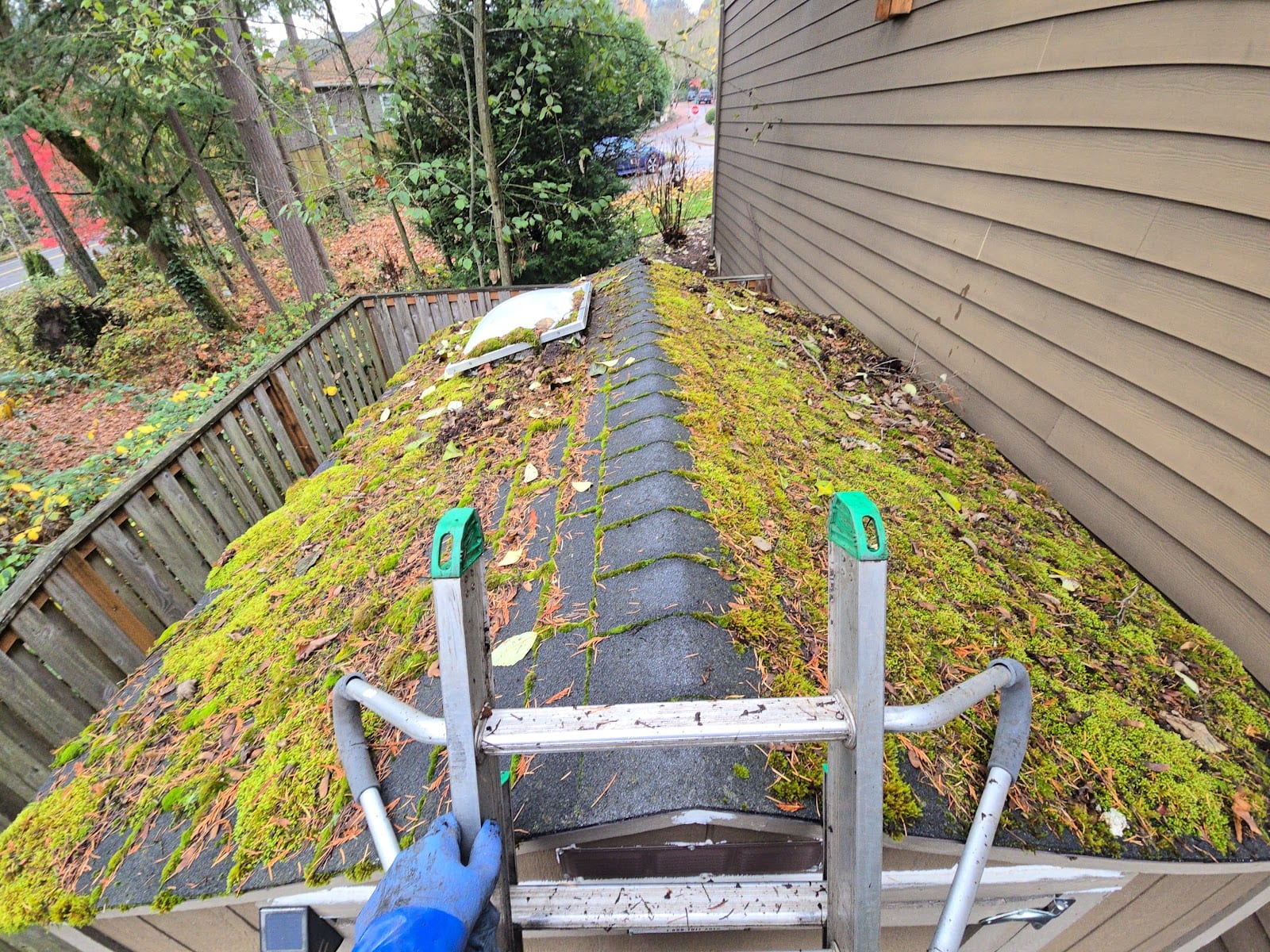 EcoWash Window, Gutter and Roof, photo 4