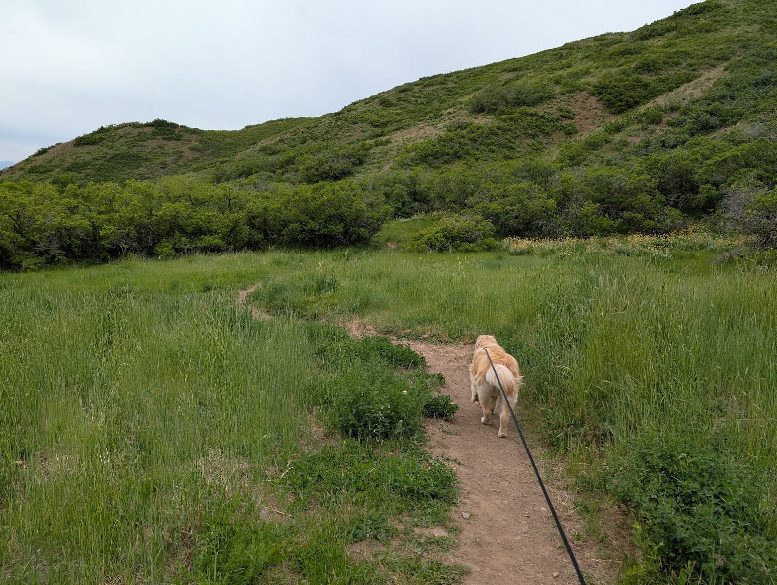 Red Butte Canyon Overlook Trail, photo 3