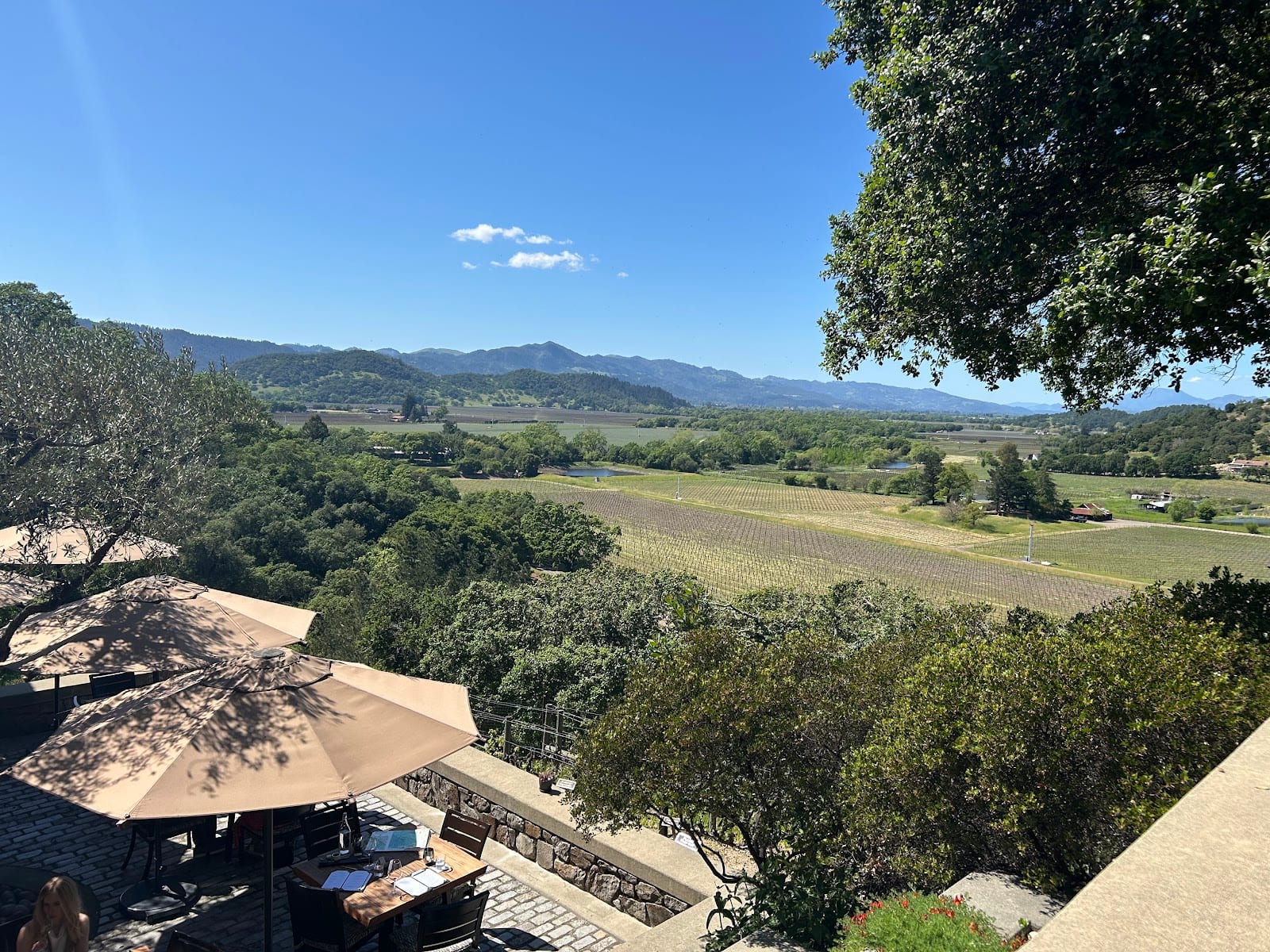 Silverado Vineyards