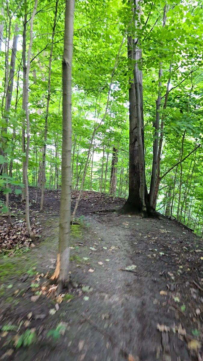 Linkwood Lane Park, photo 2