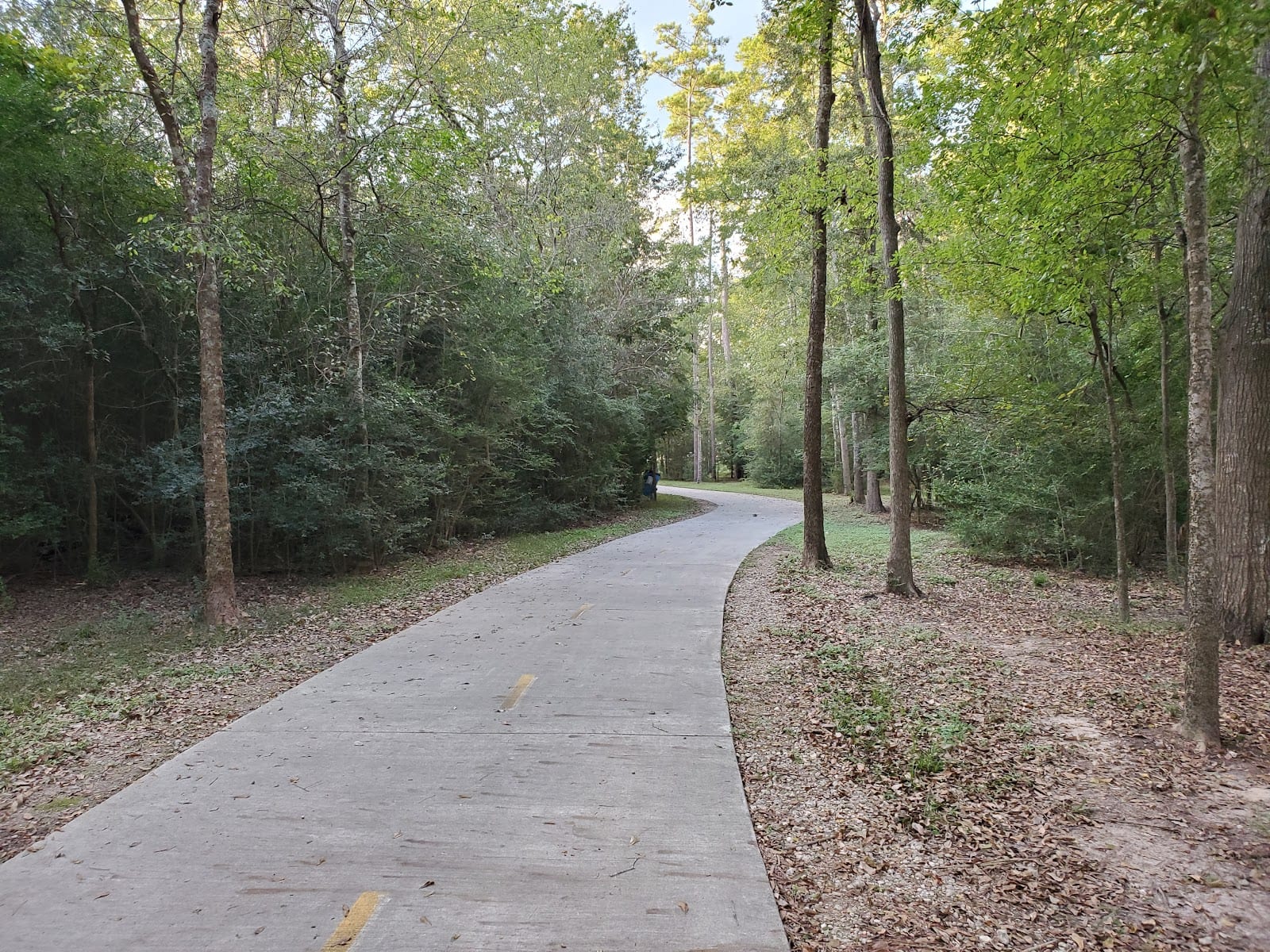 Timber Lane Park Disc Golf Course, photo 3