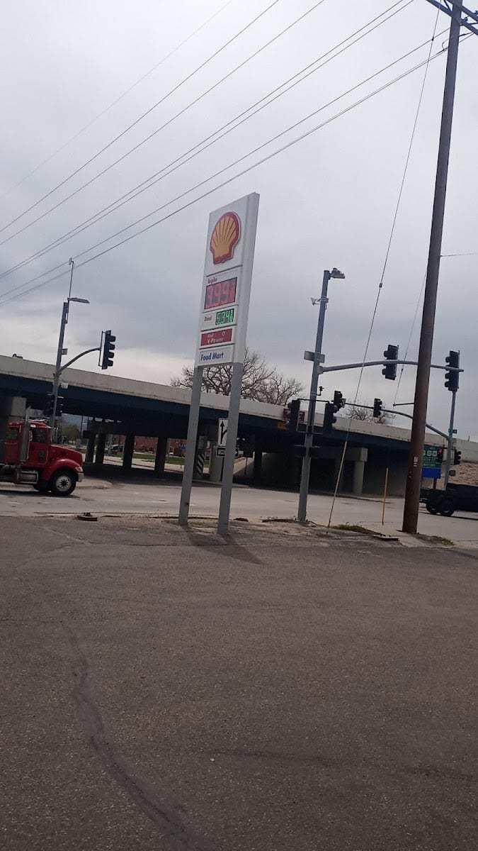 Shell, photo 4