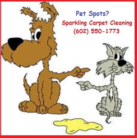 Sparkling Carpet Cleaning