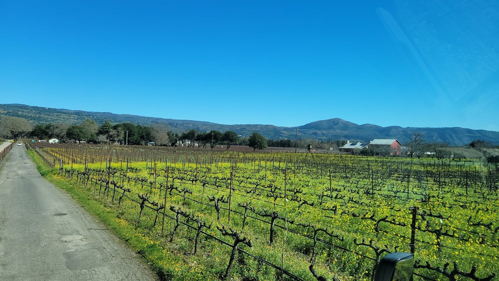 Boyd Family Vineyard Napa, photo 3