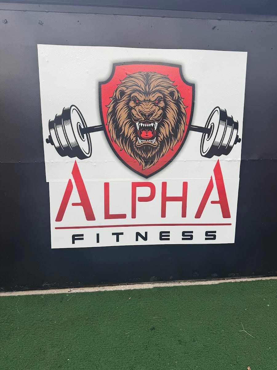Alpha Fitness, photo 4