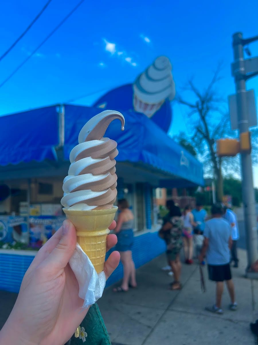 Zesto Ice Cream, photo 4