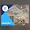 ASB Flooring LLC
