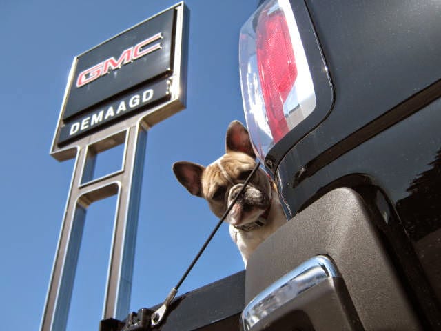 Demaagd GMC Nissan INC., photo 2
