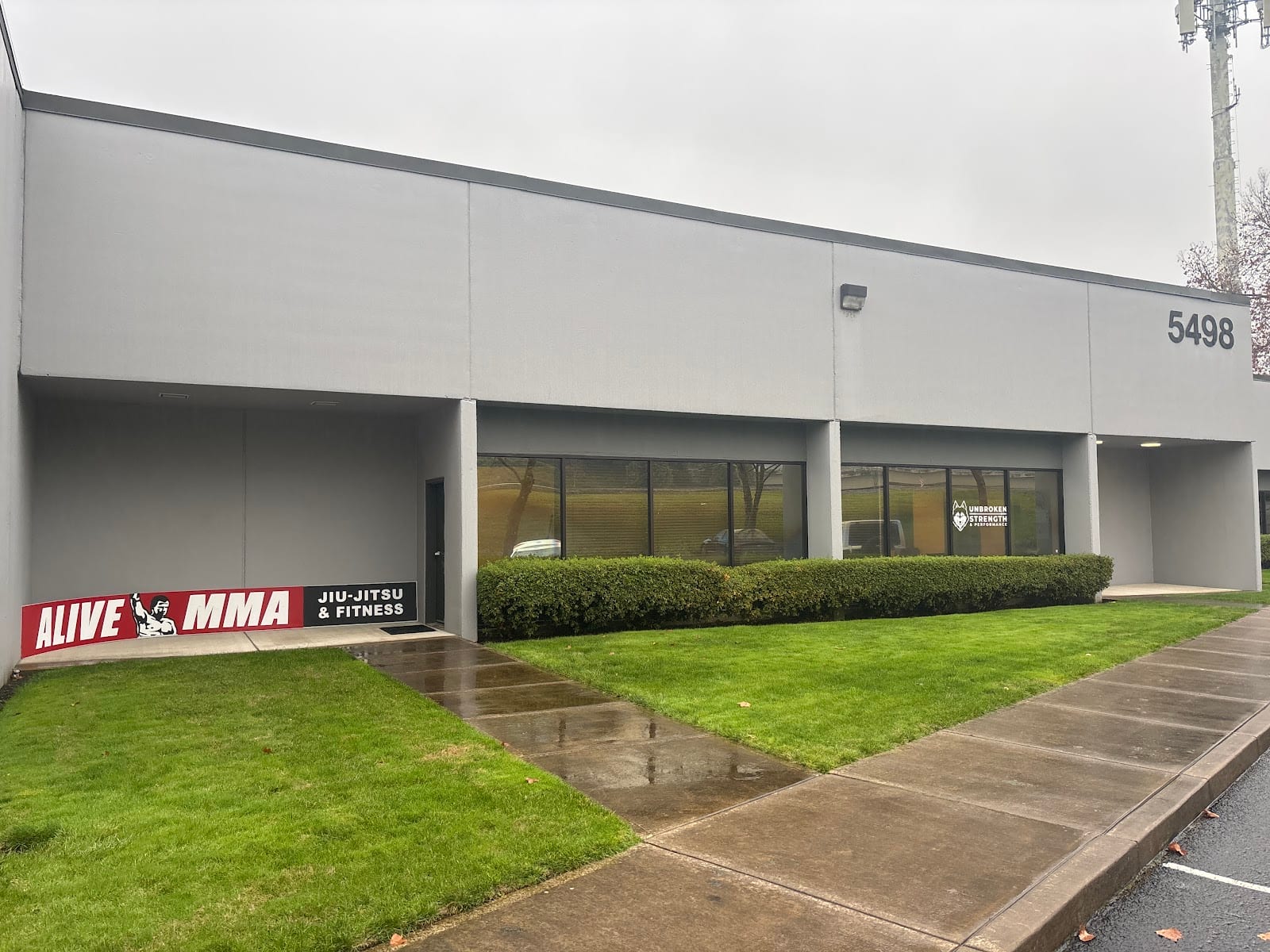 Alive MMA