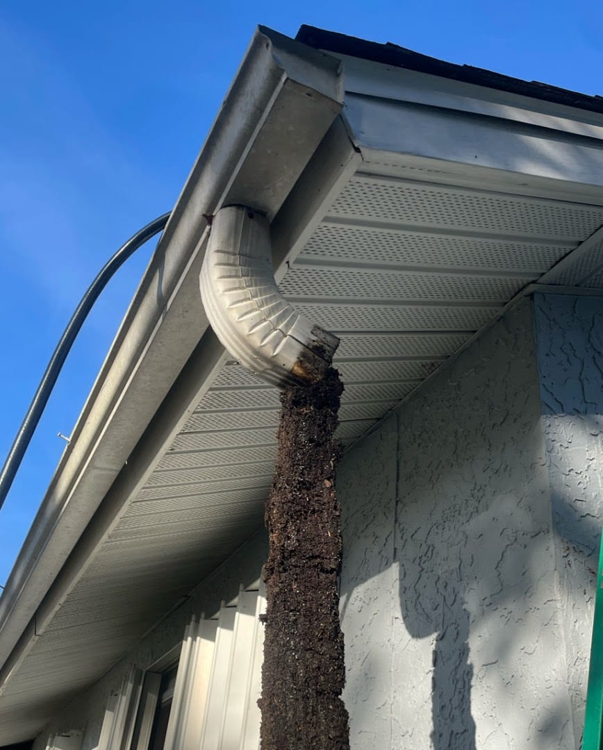 Port Charlotte Gutter Cleaning Service