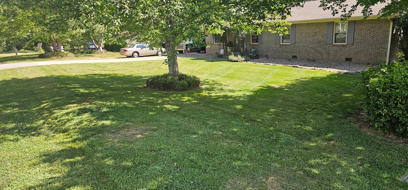 S&S lawn maintenance and more