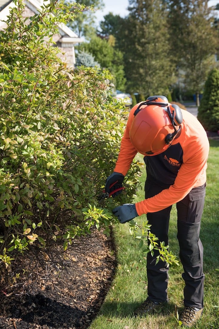 SavATree - Tree Service & Lawn Care, photo 4