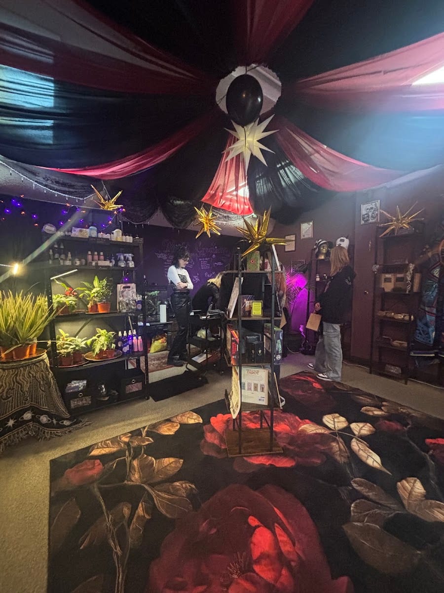 Misfit Creations Art Studio & Store, photo 2