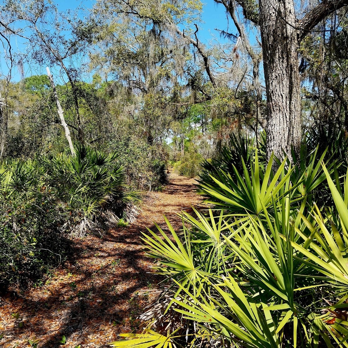 Manasota Scrub Preserve, photo 2
