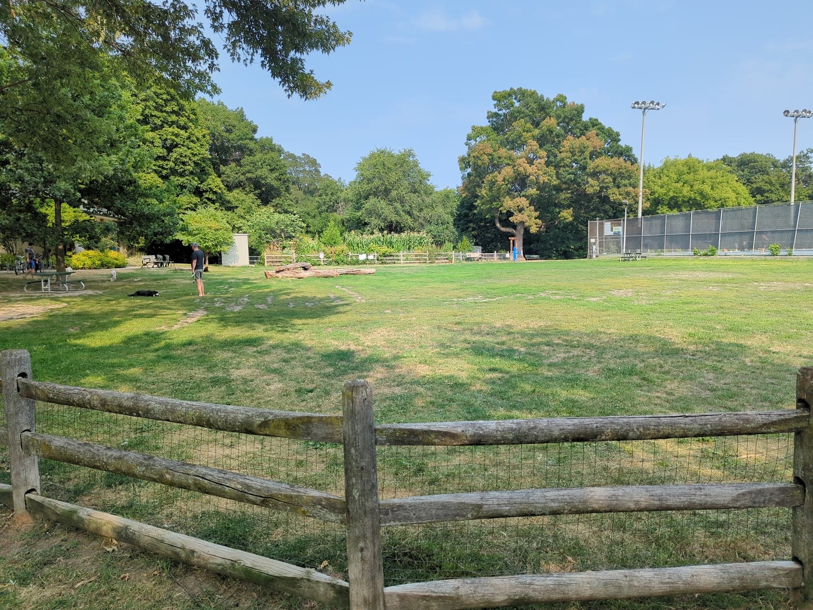 Hillcrest Dogs Off-leash Area