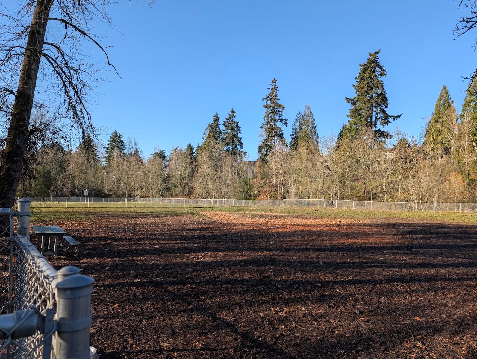North Clackamas Parks and Recreation Off-Leash Dog Park