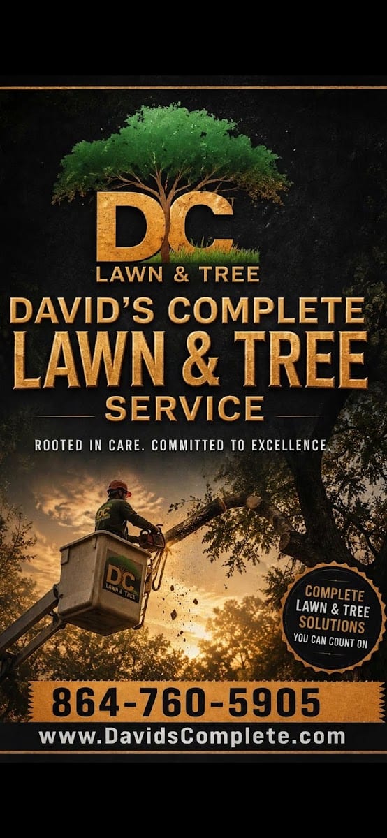 David's Complete Lawn & Tree Services LLC, photo 2