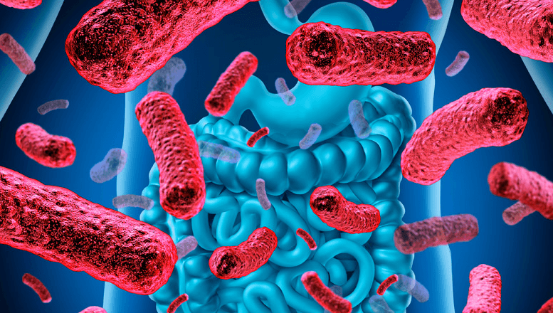 YouHealth Inc. | Personal Nutrition, Wellness & DNA Tests | Simple. Order Online Today.