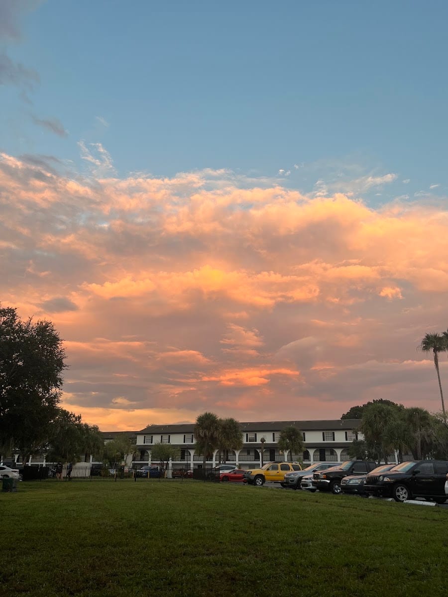 Tampa Roofing Repair