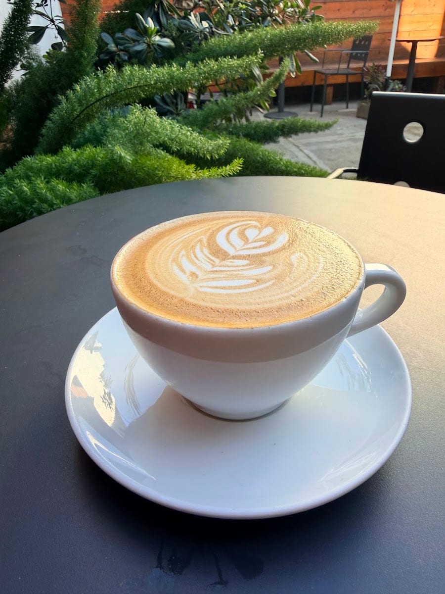 Haus Coffee, photo 2