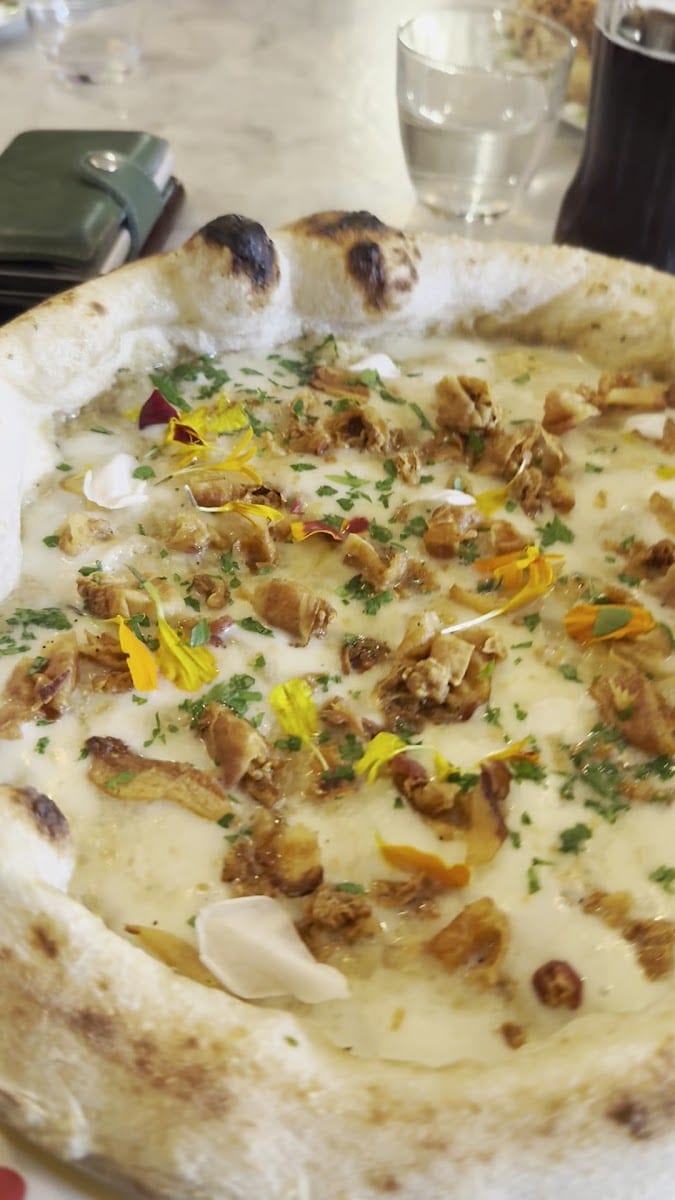 Prima | Pizza Gourmet, photo 3