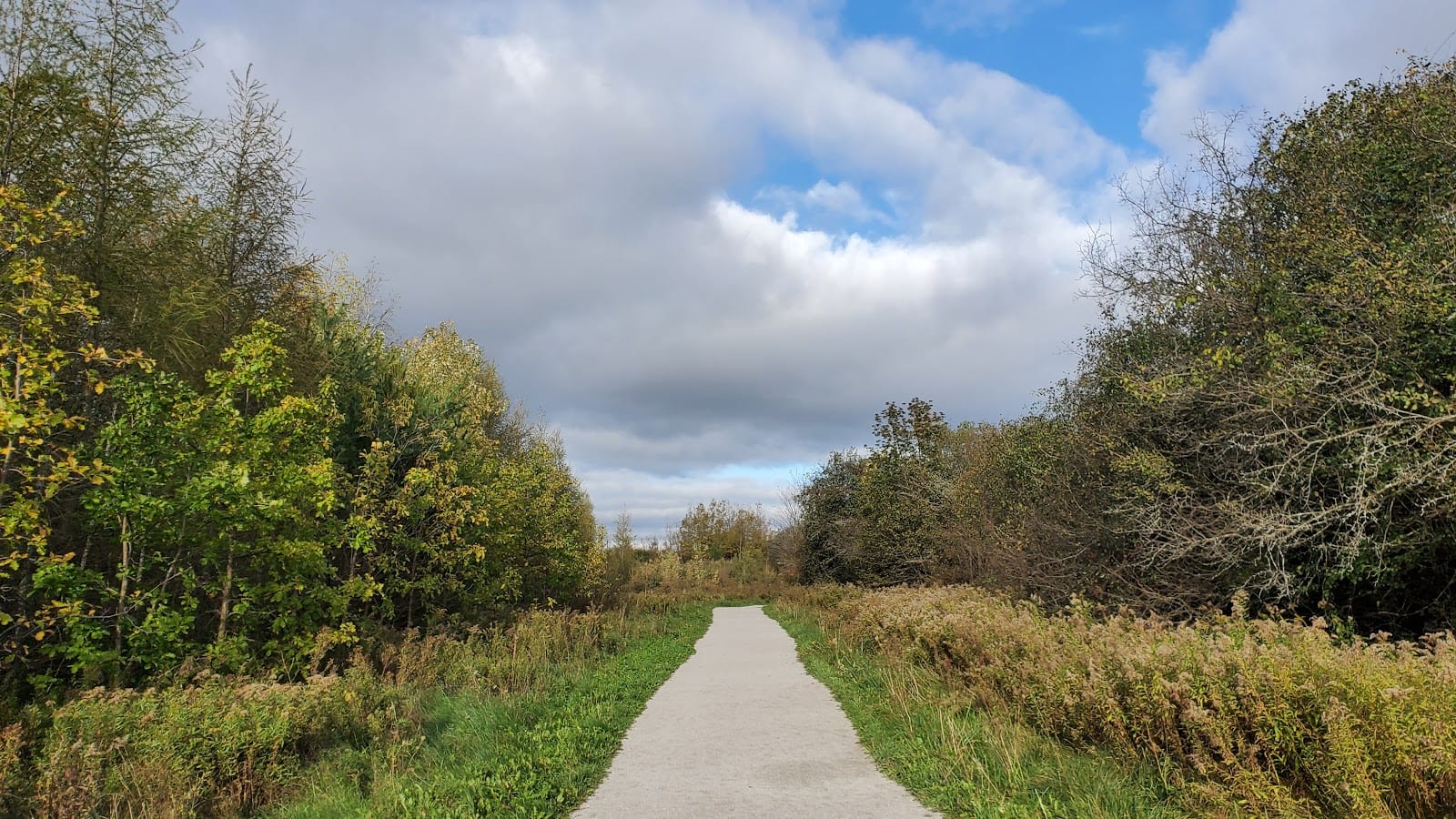 Stormwater Pond on Oak Ridges Corridor Conservation Reserve