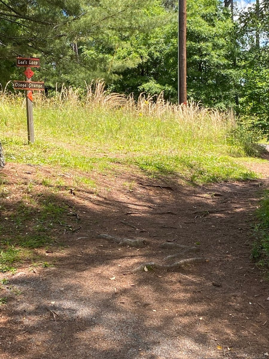 Jackson Hill mountain bike trails, photo 3
