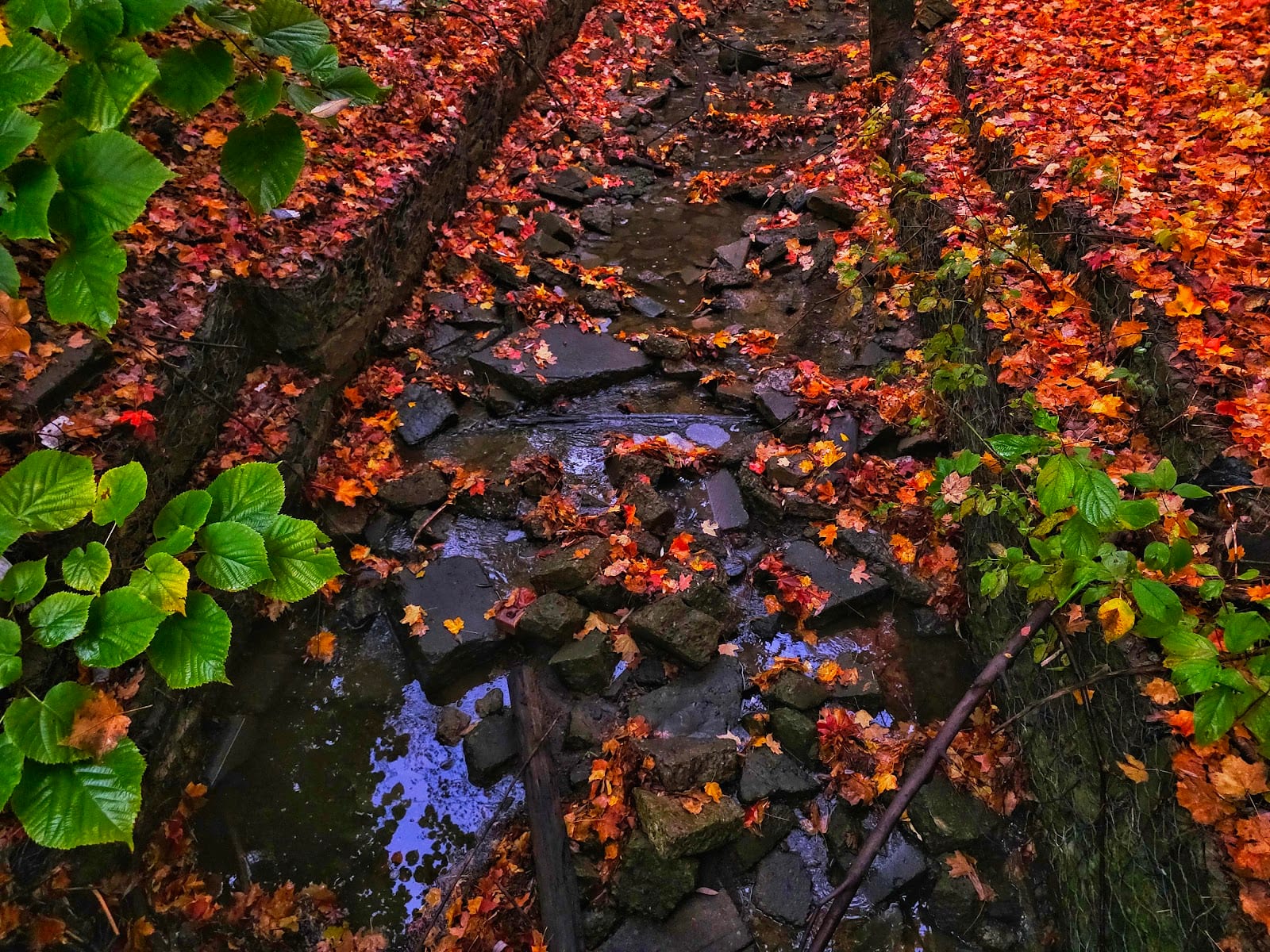 Exbury Park, photo 3