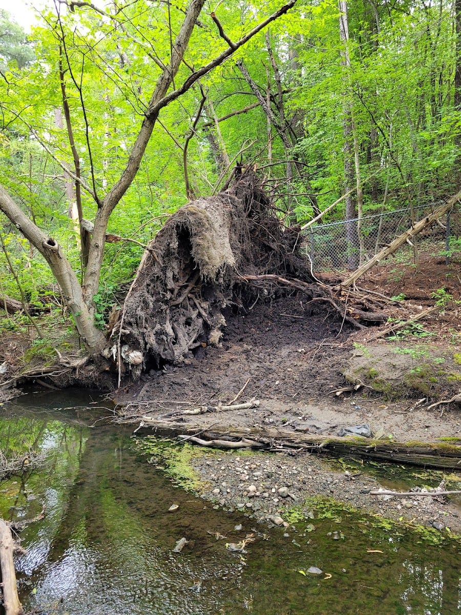 Vyner Greenbelt, photo 3