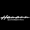 Hamann Automotive