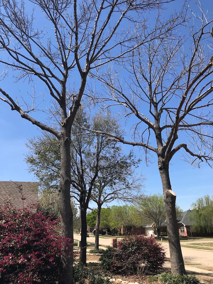 Baker Landscape & Tree Services