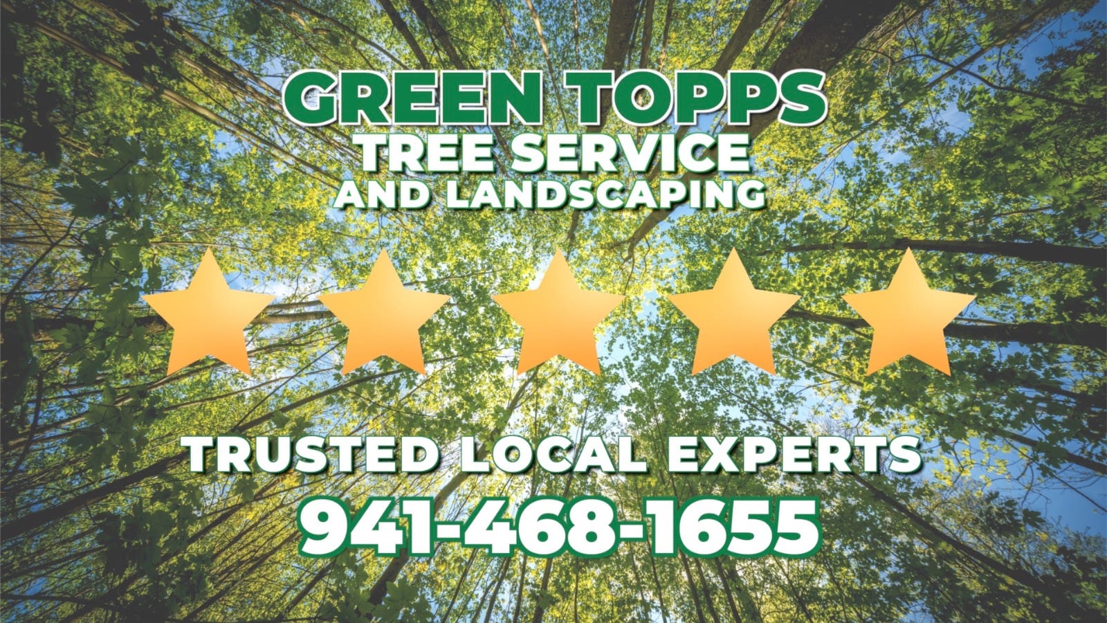 Green Topps Tree Service & Landscaping, photo 4