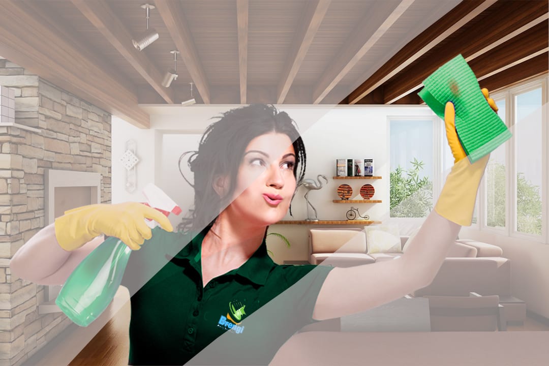 BRENGI Cleaning Services