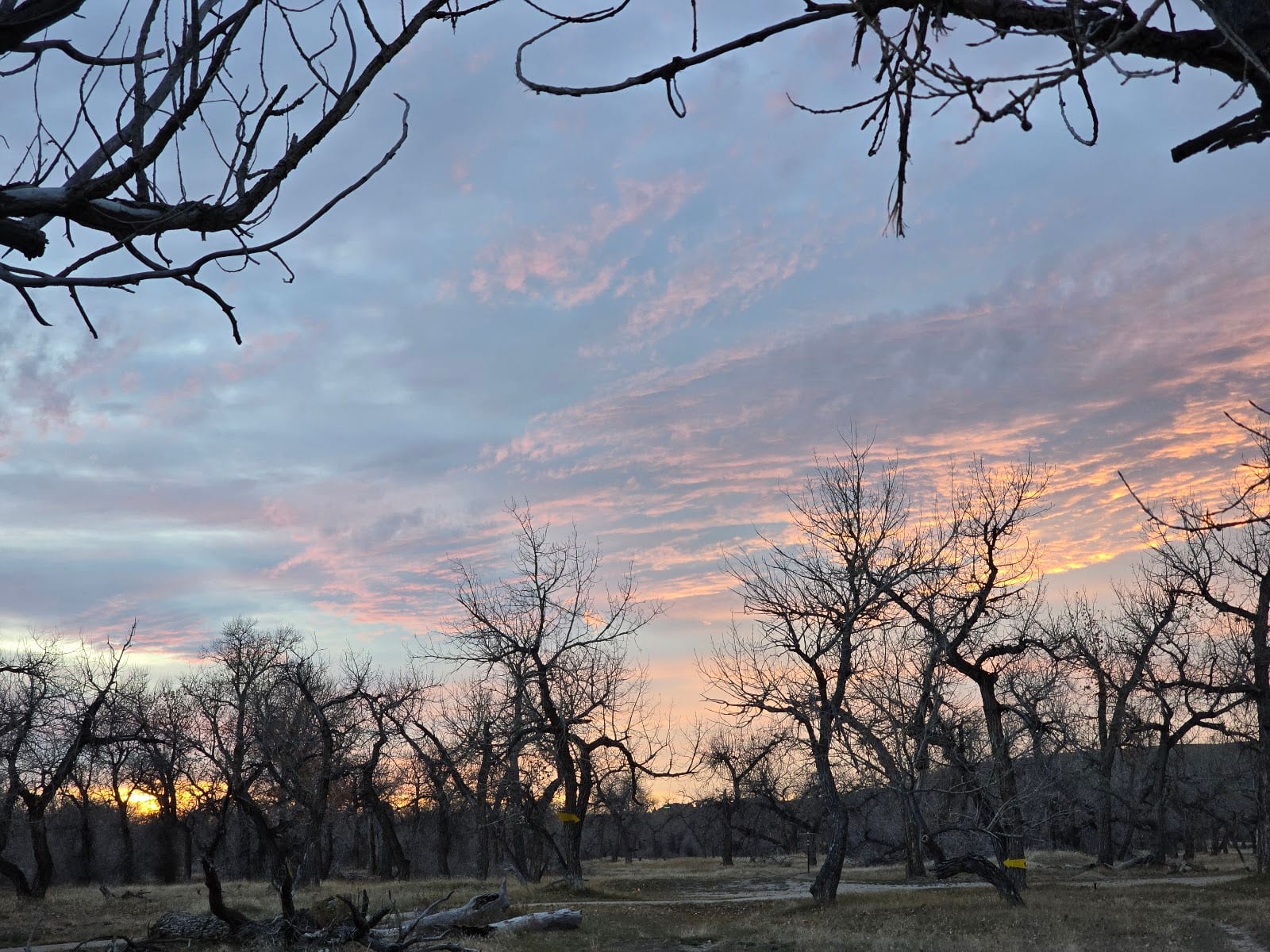North Platte Park, photo 3