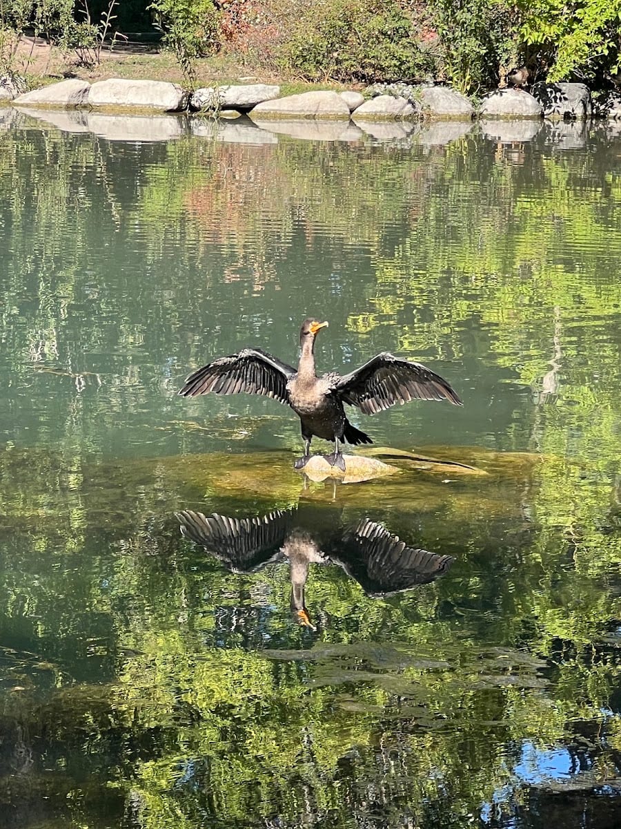 Fairmont Pond, photo 3