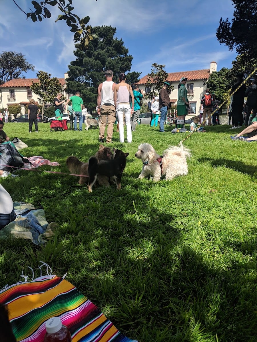 Patrick's Park, photo 4
