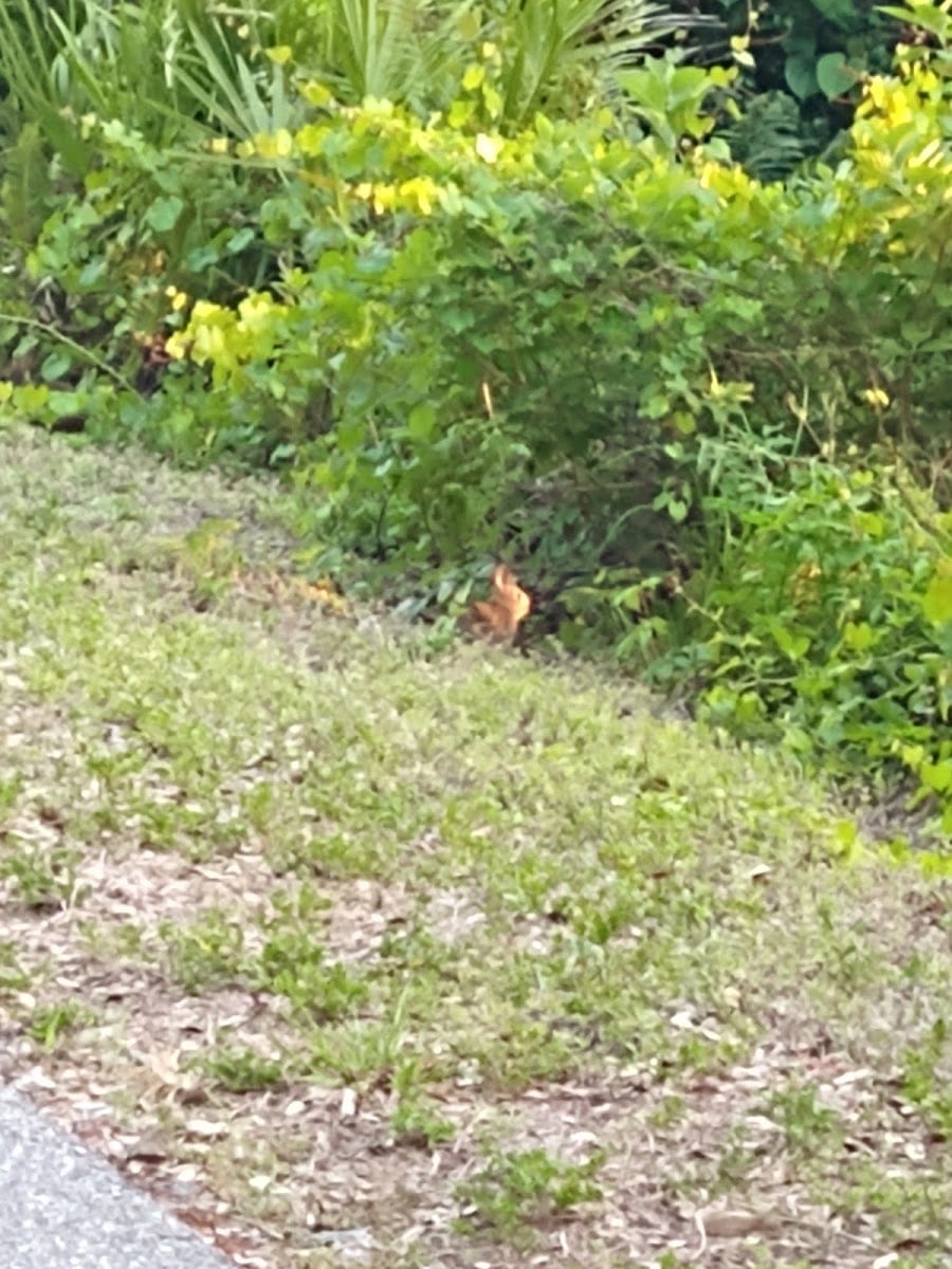 Legacy Trail, photo 2