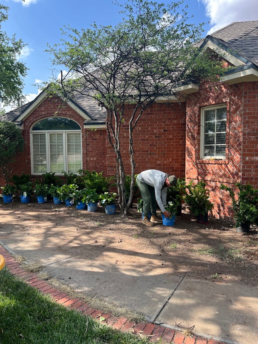 Roots Lawn and Landscape, photo 4