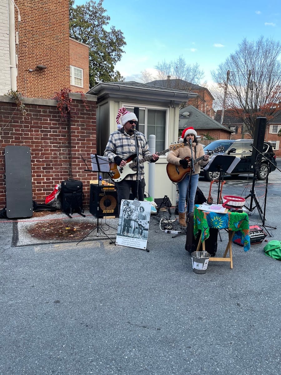 Annapolis Chocolate Binge Festival, photo 2