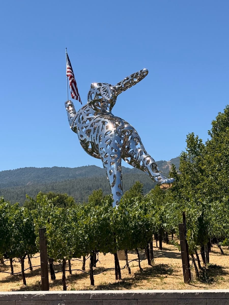 HALL Wines St. Helena, photo 4